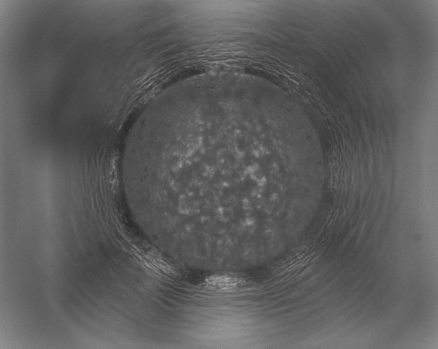 X0000056350699200509091556