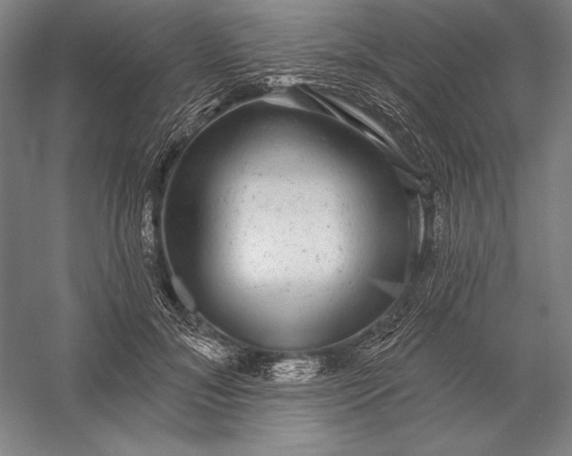 X0000056350700200509091556