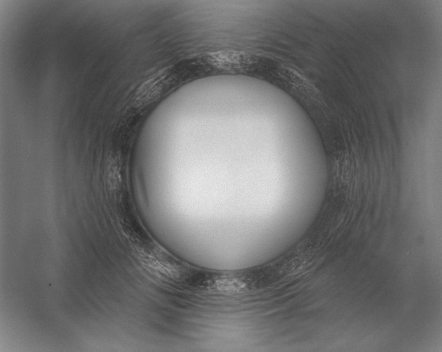 X0000056350702200509091556