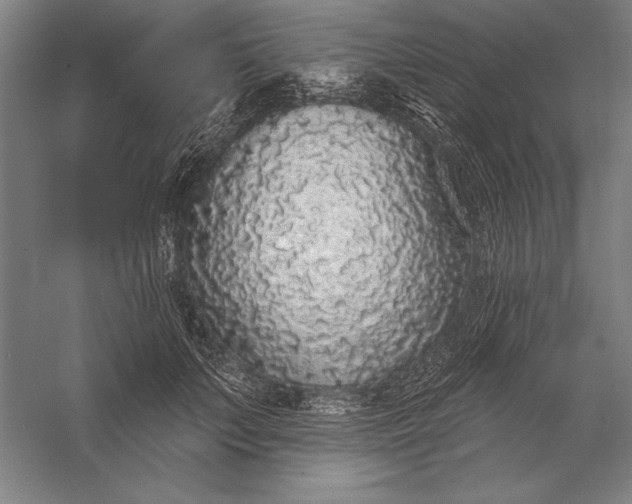 X0000056350703200509091556