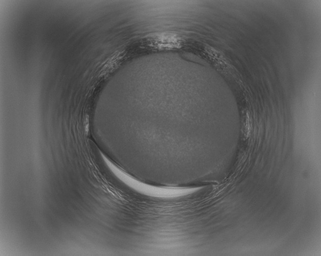 X0000056350704200509091556