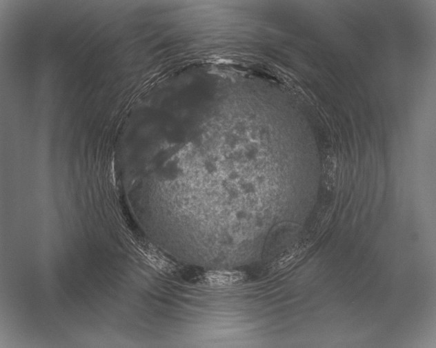 X0000056350707200509091556