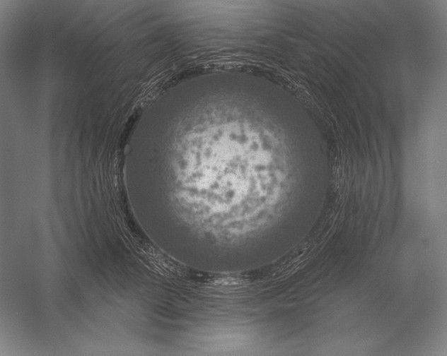 X0000056350708200509091556