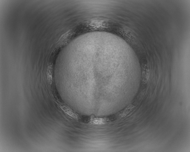 X0000056350710200509091556