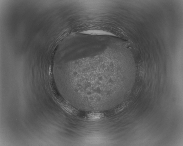 X0000056350711200509091556