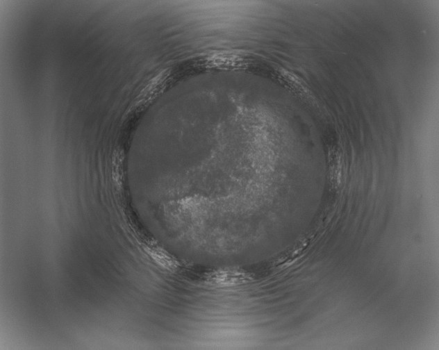 X0000056350712200509091556