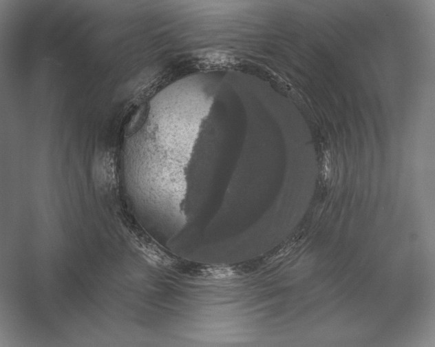 X0000056350715200509091556