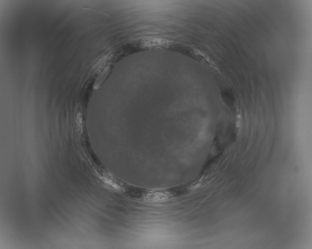 X0000056350716200509091556