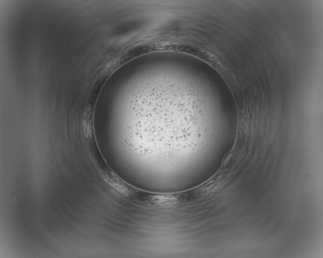 X0000056350719200509091556