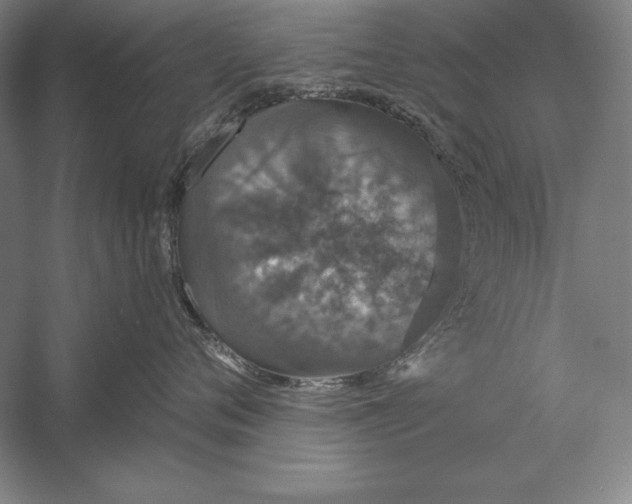 X0000056350720200509091556