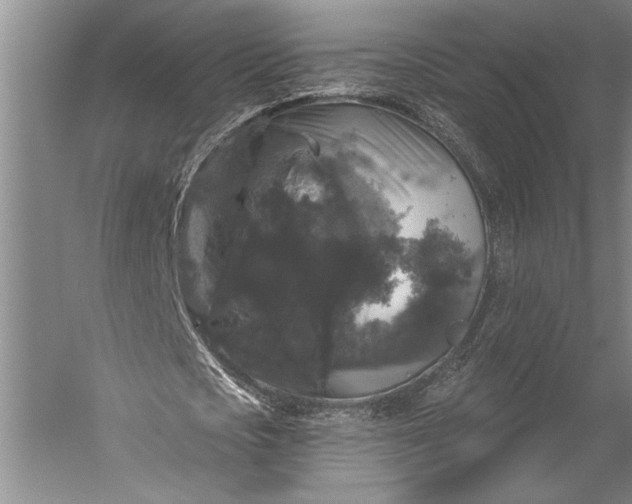 X0000056350721200509091555