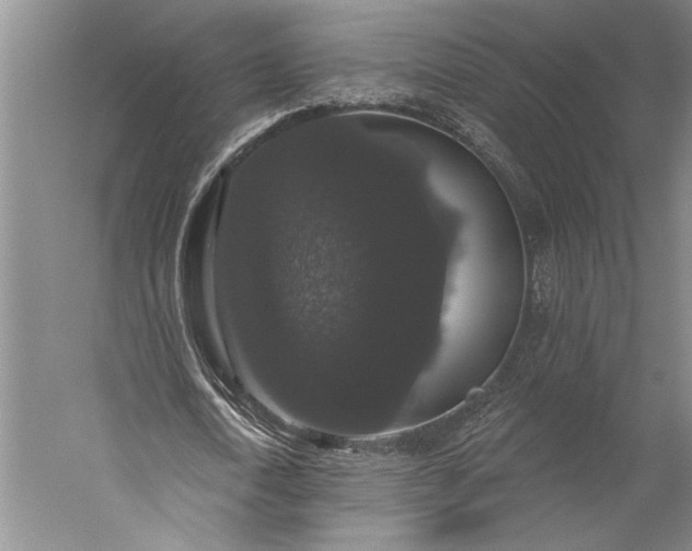 X0000056350722200509091555