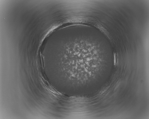 X0000056350723200509091555