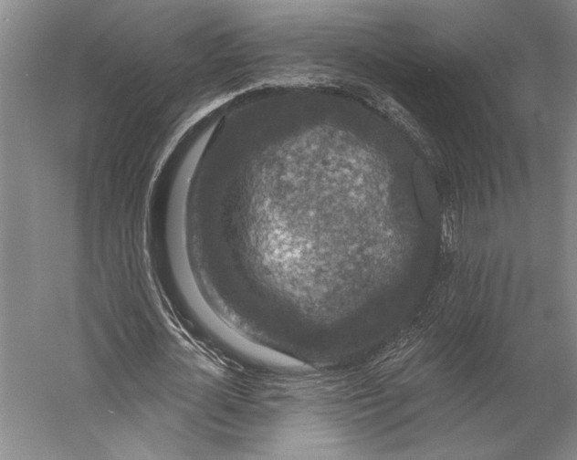 X0000056350724200509091555