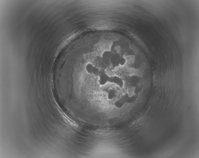 X0000056350725200509091555