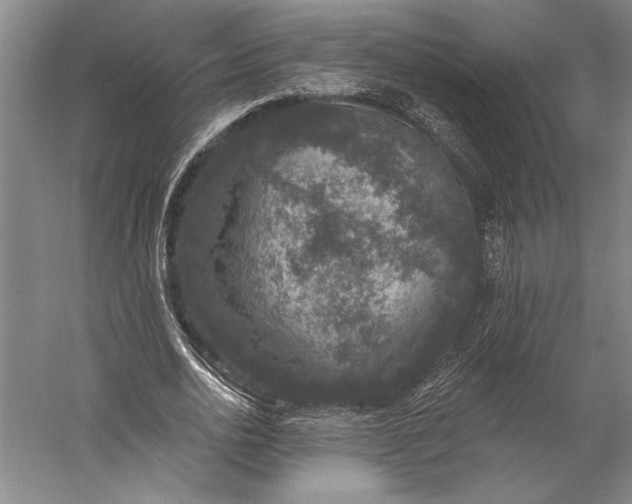 X0000056350726200509091555