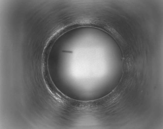 X0000056350728200509091555