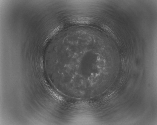 X0000056350729200509091555