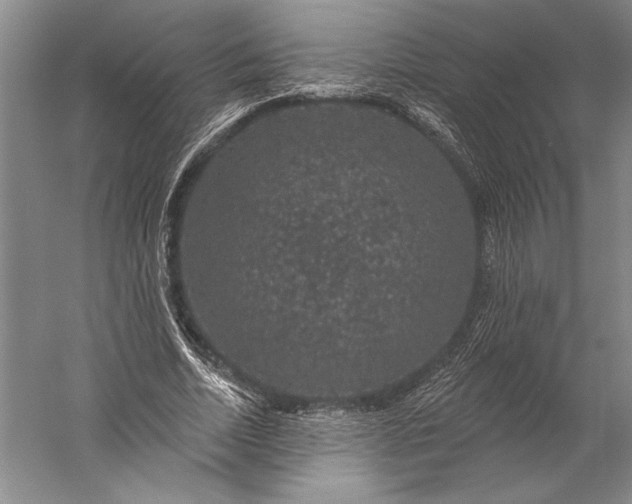 X0000056350730200509091555