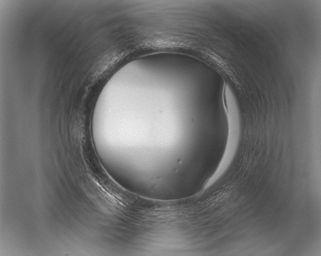 X0000056350732200509091555