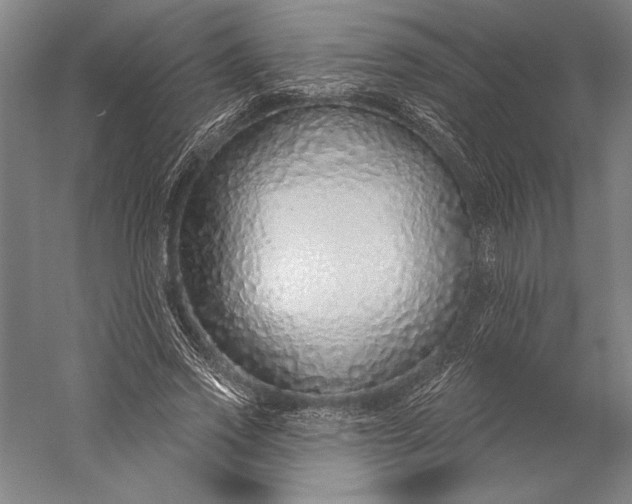 X0000056350733200509091555