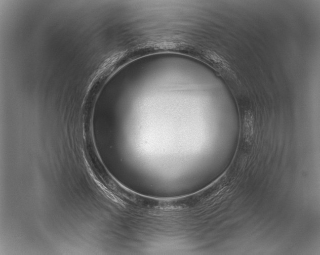 X0000056350734200509091556