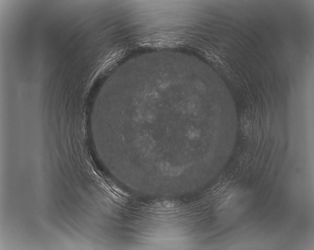 X0000056350735200509091556