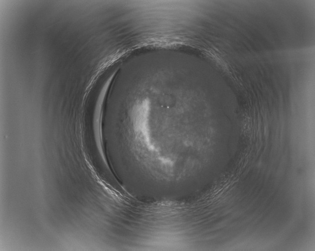 X0000056350736200509091556