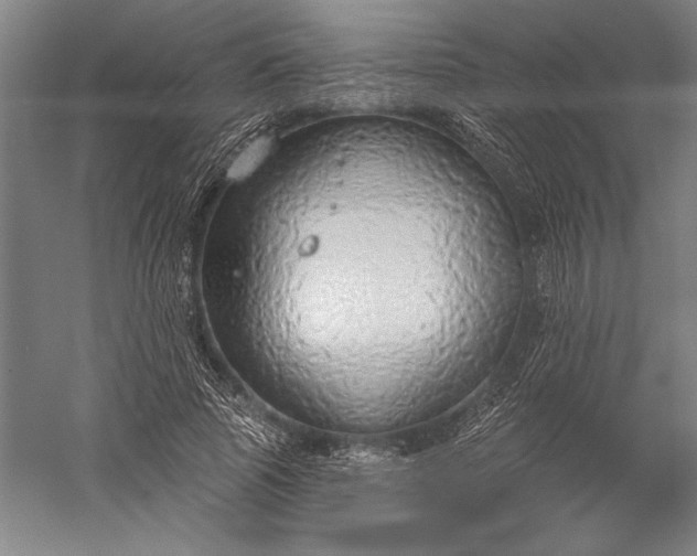 X0000056350737200509091556