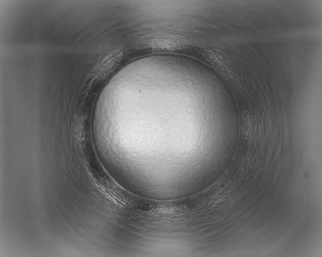 X0000056350738200509091556