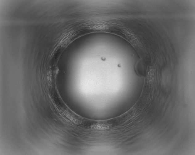 X0000056350739200509091556