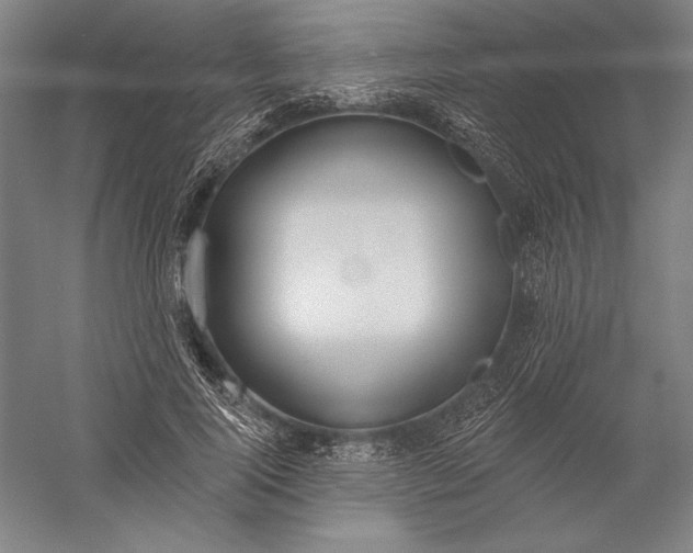 X0000056350740200509091556