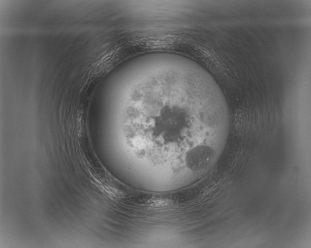 X0000056350741200509091556