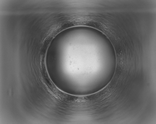 X0000056350742200509091556