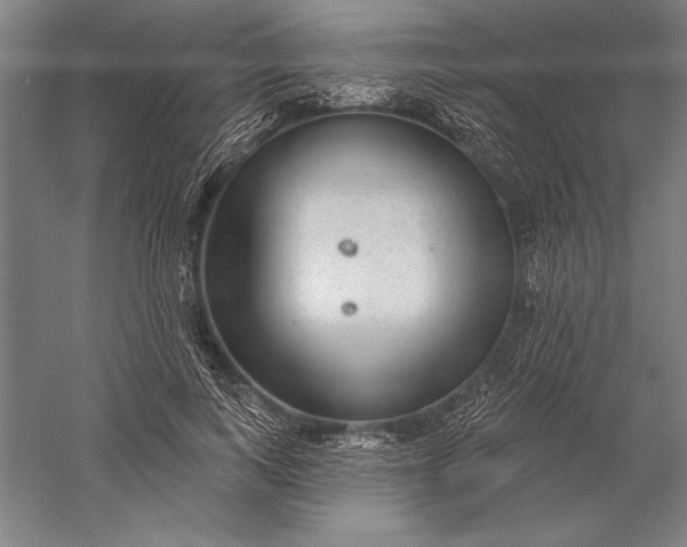 X0000056350743200509091556