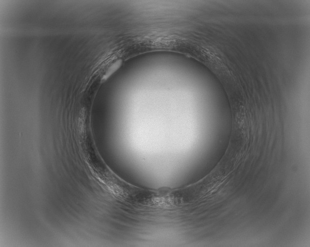 X0000056350744200509091556