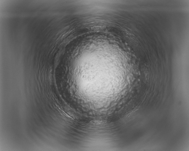 X0000056350745200509091556