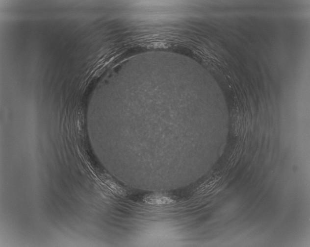 X0000056350747200509091556