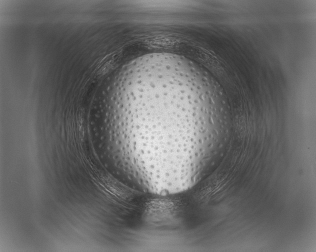 X0000056350749200509091556