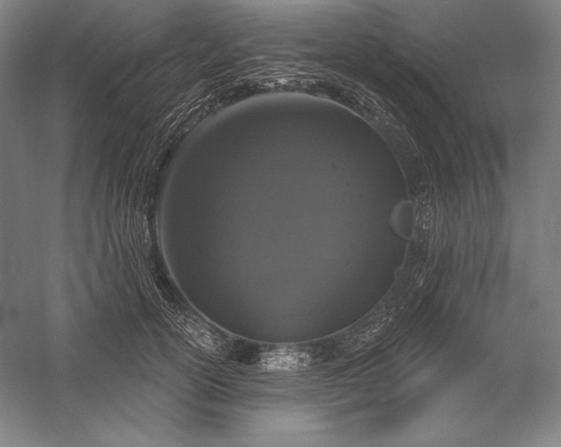 X0000056350754200509091556