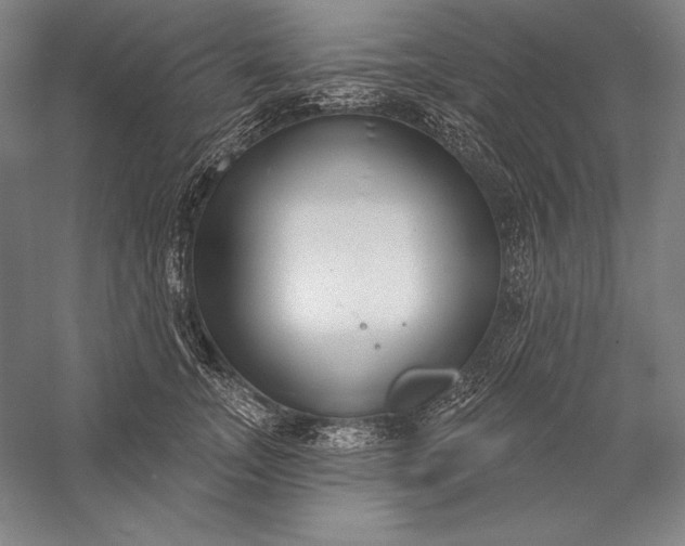 X0000056350755200509091556