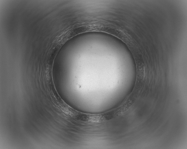 X0000056350757200509091556