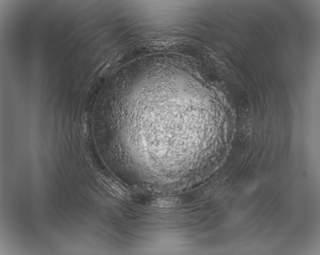 X0000056350758200509091556