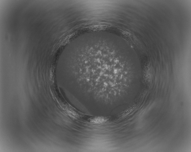 X0000056350759200509091556