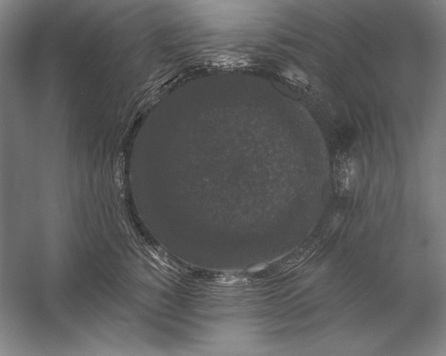 X0000056350760200509091556