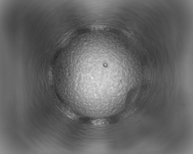 X0000056350761200509091556