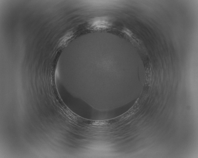 X0000056350762200509091556