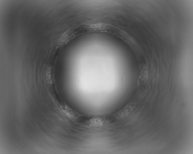 X0000056350764200509091556