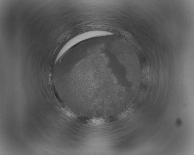 X0000056350765200509091556