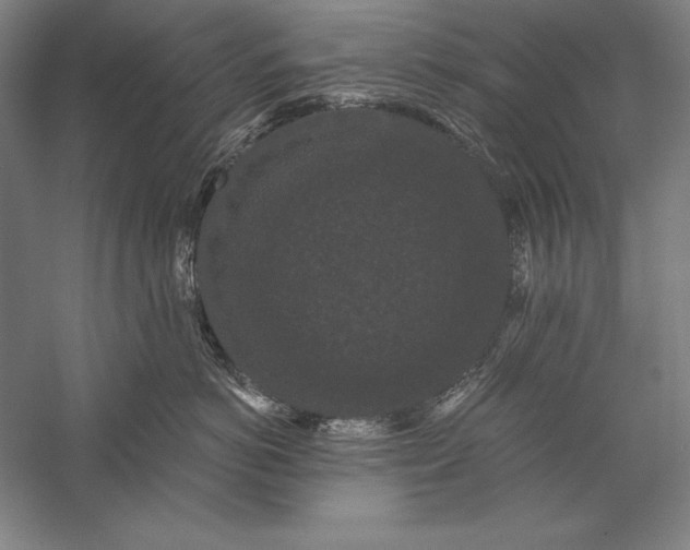 X0000056350766200509091556